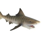 New Schleich 14555 Tiger Shark Sea Life Wild Ocean Retired Animal Figurine Rare