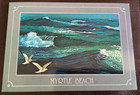 2  Vintage 1980   s Myrtle Beach Sc Picture Postcards Free Shipping