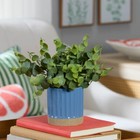 Mainstays By Becky G    Alejandra 8  Artificial Eucalyptus In Blue Two