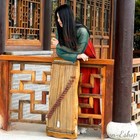 Whole Digging 35  Chinese 21-string Guzheng Zither Harp Koto Aged Paulownia 2344