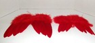 Red Feather Wings- 2 Sizes