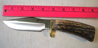 Vintage Blackjack Classic Blades Trail Guide Stag Handle Knife W sheath Usa