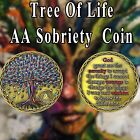 2 Years Sober Two Year Aa Sobriety Coin Chip Alcoholics Anonymous Medallion Gift