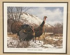 1983 Whitewater Valley Gobblers - Mn Turkey Stamp Print - David A Maass 30 150
