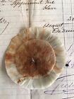 Wonderful Vintage  antique Beige Bird Head Rosette Feather Millinery