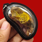Magic Cat Placenta Power Wealth Money Fortune Lucky Talismans Thai Amulet Rare