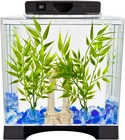 Tetra 1 1 Gal Half Moon Betta Aquarium Kit  Led Light  Desk Fish Tank