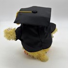  chicken Dance Head Of The Class  Graduate Chicken