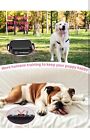 No Shock Dog Training Collar 2 Dogs  Dog Vibration Collar With Controller 