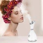 Nano Ionic Facial Steamer     Deep Pore Cleansing   Instant Hydration