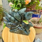 4 62lb Natural Elongated Stone Quartz Carving Nine Tailed Fox Spiritual Healing