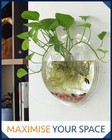 Wall Bubble Hanging Plant Bowl Fish Clear Acrylic Vase Flower Pot Modern
