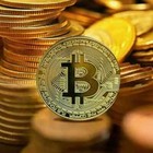 Gold Bitcoin W  Protective Case New  Physical Gold Plated Collectible Bit Coin