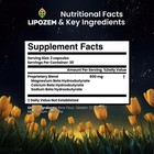  5 Pack  Lipozem Weight Loss Diet Pills  Lipozene Tablets Reviews  300 Capsules 