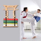 Wall Karate Belt Display Rack With Medal Hanger And Stickers Martial Arts Holder