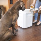 Airtight Pet Food Storage Container For Dogs  Gray  50 Pound Capacity