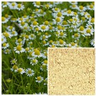 Chamomile Powder  Organic  Soap Making Supplies  Natural Colorant 