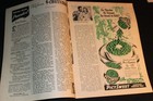 Walt Disney 1946 Make Mine Music Western Family Valentine s Day Issue