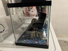 Aqueon Standard Glass 20 Gallon Long Aquarium Tank  Black Trim