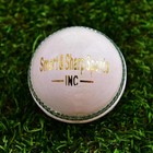 Pack Of 6 Test Cricket Leather Hard Ball 5 6 Oz Mcc Regulation Smart And Sharp S