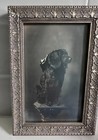 Antique Portrait Of A Cocker Spaniel Dog In Gold Frame