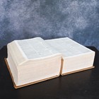 Antique 1914 The Century Dictionary Extra Large Hardcover Reference Book
