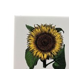 Decorative Ceramic Sunflower Tile Wall Art Floral Botanical Home Decor 6x6