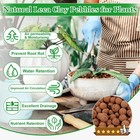 Sunwinx 2lb Organic Leca Clay Pebbles For Plants  4-16mm Natural 2lb  Brown