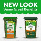 3 Pack Greenies Natural Dental Cat Treats  Oven Roasted Chicken  21 Oz  Tub
