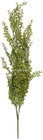 33    Hanging Peppergrass Pepper Grass Bush Primitive Arrangement Floral Decor 