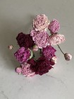 Peonies   Dried Flower Bunch Bouquet Bundle Usa Grown   Assorted Peony Mix Auc 2