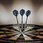Rhino 80  Tungsten Steel Tip Darts With Storage travel Case