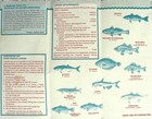1985 Chesapeake Bay Sport Fishing License Maryland Natural Resources Brochure