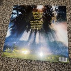 Zara Larsson Midnight Sun Clear Vinyl Lp Record Signed Auto In Hand 