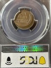 Mint Error 1950-d Lincoln Cent Pcgs Au-58 Struck 20  Off Center Wheat 1c   
