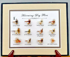12 Mounted   Framed  Precision-tied  Hairwing Dry Flies - In 11 x9   Shadow Box