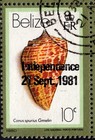 1981 Belize Sc  577a - Independence Ovpt On 1980 Shells 10c Cds Postally Used