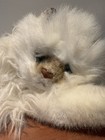 Russ Himalayan Persian Cat 23  W  Tail Vtg Realistic Plush  Blue Eyes