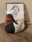 Ducks Unlimited Special Edition Canvasback Duck Decoy And Sketch Signed By Jett
