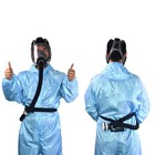Portable Electric Full Face Gas Respirator Supplied Air Paint Spraying Chemical