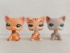 3pcs lot Littlest Pet Shop Toy Lps Cat  1643 1451 228 Animal Figures