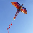 140cm X 120cm   55 X 47 Inch Dragon Kite Single Line Flying Kite With Tail Bcza