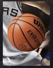 Men s Evolution Game Basketball  29 5   - Official Size Free Shipping