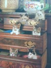Cats Art Decor Wood Plaque Kittens In Drawers Vintage She Shed Kitsch