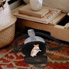 Pet Carrier Oxford Cloth Out Bag Small Bird Hamster Portable Travel Accessories