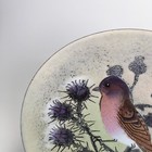 Norman   Judith Brumm Enamel Over Copper Plate With Bird And Thistle 7   