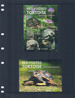  29 00 Scott Value - 2022 Grenada Tortoises S s Turtles Caribbean Cv Mnh Nh Umm