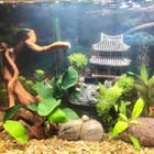Resin Castle Decorations For Fish Tank  Aquarium Sculpture - Eco-friendly Orname