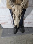 Wild 10 Point Whitetail Deer Antler Rack Horn Skull European Mount Man Cave 129 