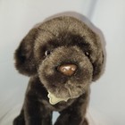 Realistic Fao Chocolate Brown Lab Labrador Dog Puppy Plush Stuffed Animal 2015